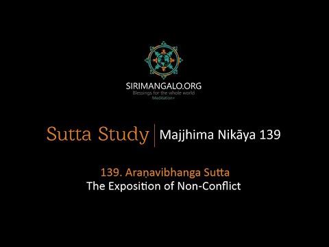 MN 139 (The Exposition of Non-Conflict) and Q&A