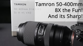 Tamron 50-400mm Review: 8X the Fun and Sharp!
