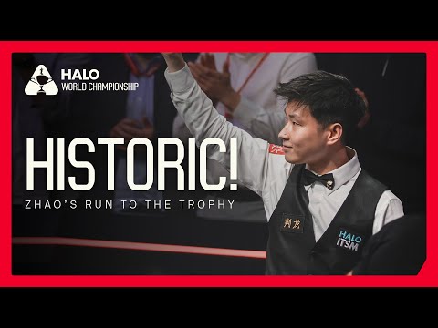 Zhao Xintong’s Road to GLORY! 🏆 | Halo World Championship 2025