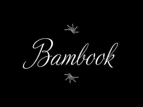 REVIEW Bambook herbruikbare agenda