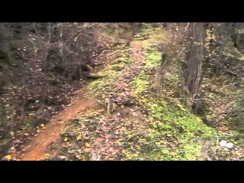 Mulliri i Qahilit - Miratoc