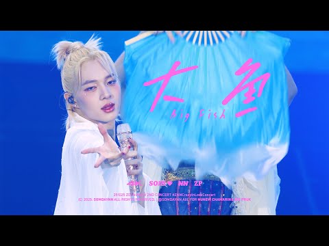 [4K] 251025 NuNew - 大鱼(Big Fish) @ZNNCrazyInLoveConcert