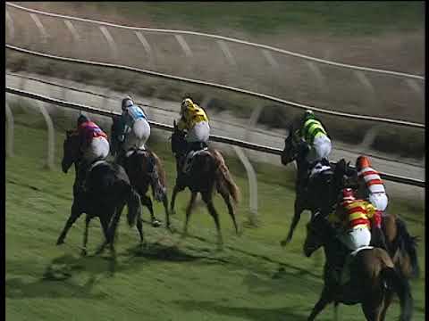 Galoppo 02/01/2019 - 4ª corsa