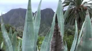 preview picture of video 'Hiking in Hermigua, La Gomera - Vaeltamassa Gomeralla'