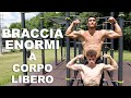 IL GIOVANE MATTIA MI AIUTA A SVILUPPARE BRACCIA ENORMI! 16 ANNI ALLENA 25 ANNI! ALLENAMENTO BRACCIA!