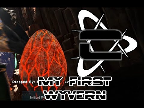 How to Get your first wyvern egg