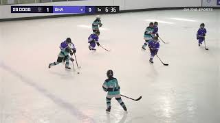 HIGHLIGHTS| BHA vs 2B DOGS | 2025. 10. 30 | CITRUS CUP 2025