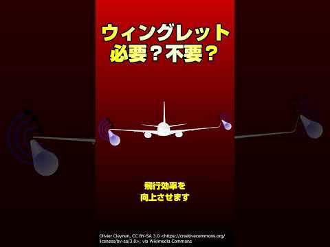 Leduc (飛行機)について詳しく解説