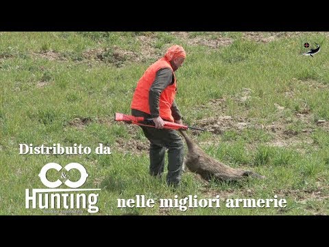 Lussazione in un bambino con paralisi cerebrale Corsetto con il prezzo il mal di schiena