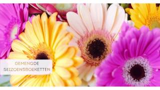Greetz / Free Shipment Bloemen - Hs2 Linda / Greetz video