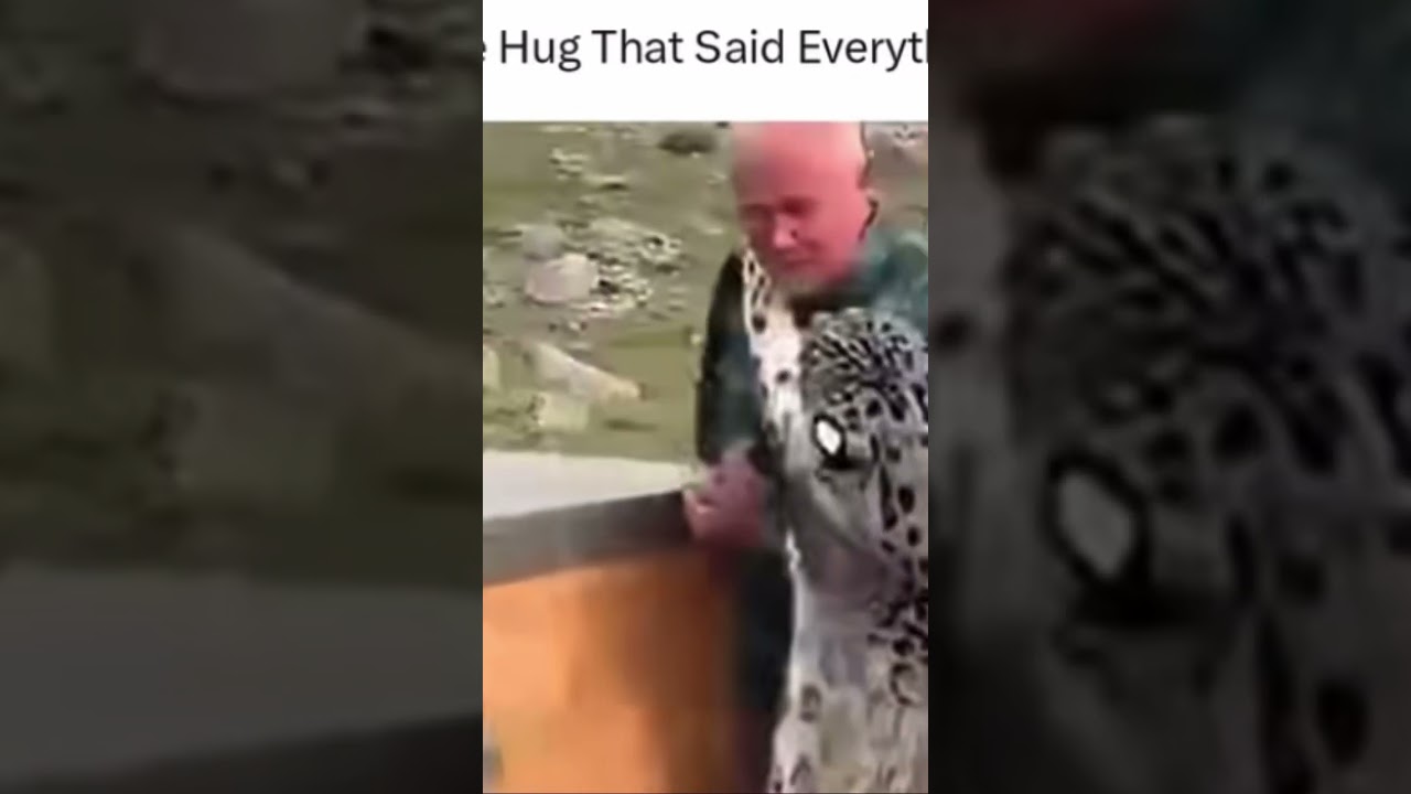 Hug says everything #shortsviral #subscribe #mountains #wildanimals