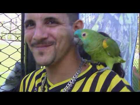 🎥  | ALMIRANTE BROWN 2 - 0 DEPORTIVO ARMENIO | El Compacto | www.giganteoeste.blogspot.com