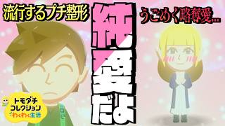 【トモダチコレクション】ゼルダキャラで島を埋め尽くす生活 #7