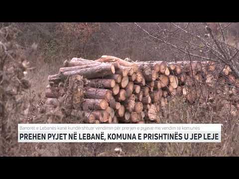 PREHEN PYJET NË LEBANË, KOMUNA E PRISHTINËS U JEP LEJE   m | T7
