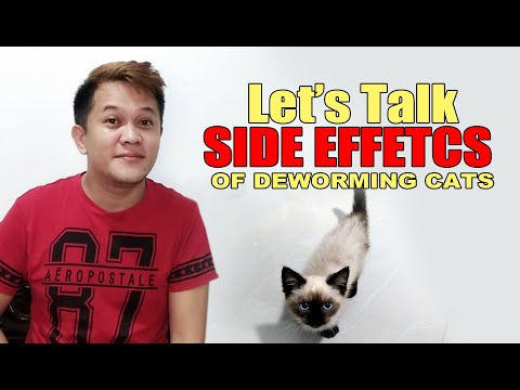 SIDE EFFECTS OF DEWORMING CATS