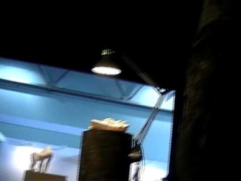 MaRaMa art exhibition mulhouse 008 Marcantonio Raimondi Male