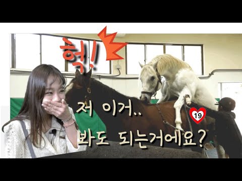 아이콘