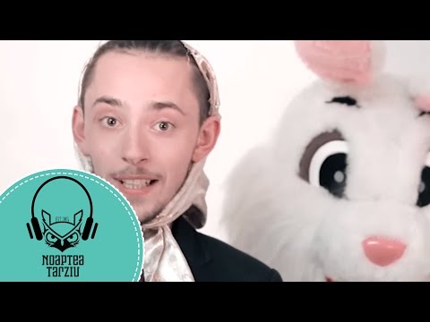 PITIPOANCA #NoapteaTârziu (Cover Robin Thicke - Blurred Lines ft. T.I., Pharrell)