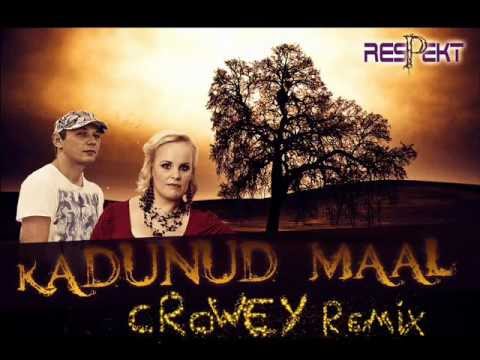 Respekt - Kadunud Maal ( Crowey Remix )