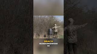 Falken-Falle? Wo die Futtertonne NICHT stehen darf! #shorts