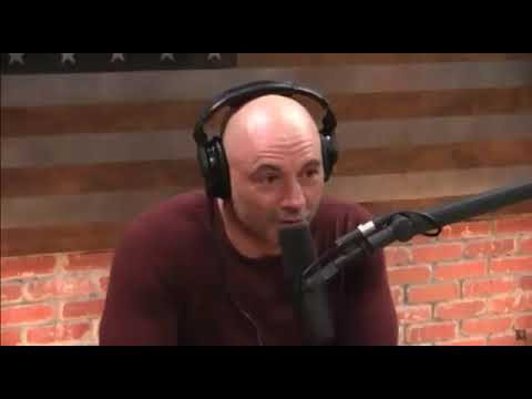 Joe Rogan on Khabib wrestling a bear
