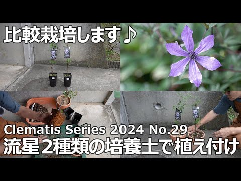 園芸 フード付きディセンター、オランダズボン