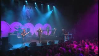 Saga 2012 &#39;Mouse In A Maze&#39;