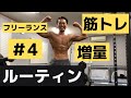 【筋トレvlog】フリーランストレーナーのバルクアップルーティン#4【増量】