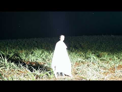 Varis - V (Official Audio)