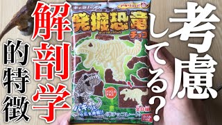 キャラパキ発掘恐竜チョコは解剖学的に正確なのか恐竜マニアが調査してみた。