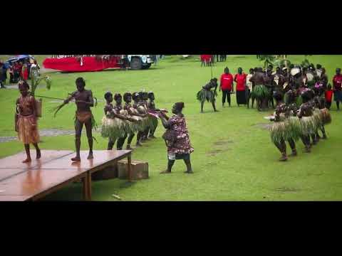 COOL FESTIVAL  TINPUTZ