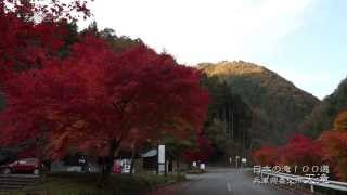 preview picture of video '紅葉の天滝【兵庫県養父市】'