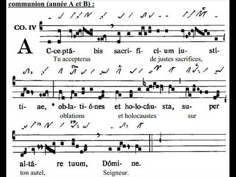 Communio Acceptabis sacrificium, Dominica XVI TpA (16 TO)