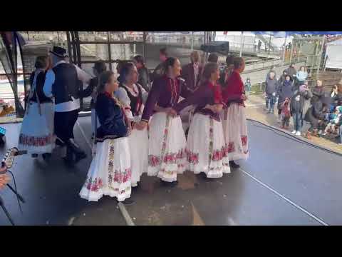 833. Hafengeburtstag Hamburg - HKZ Croatia Hamburg e.V.