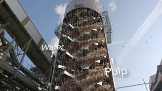 From beet to sugar | Cosun Beet Company [English]