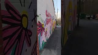 Canton Georgia walking tour
