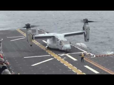 Osrprey take off in High Winds