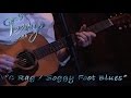 Terry Robb - C Rag / Soggy Foot Blues (Live)