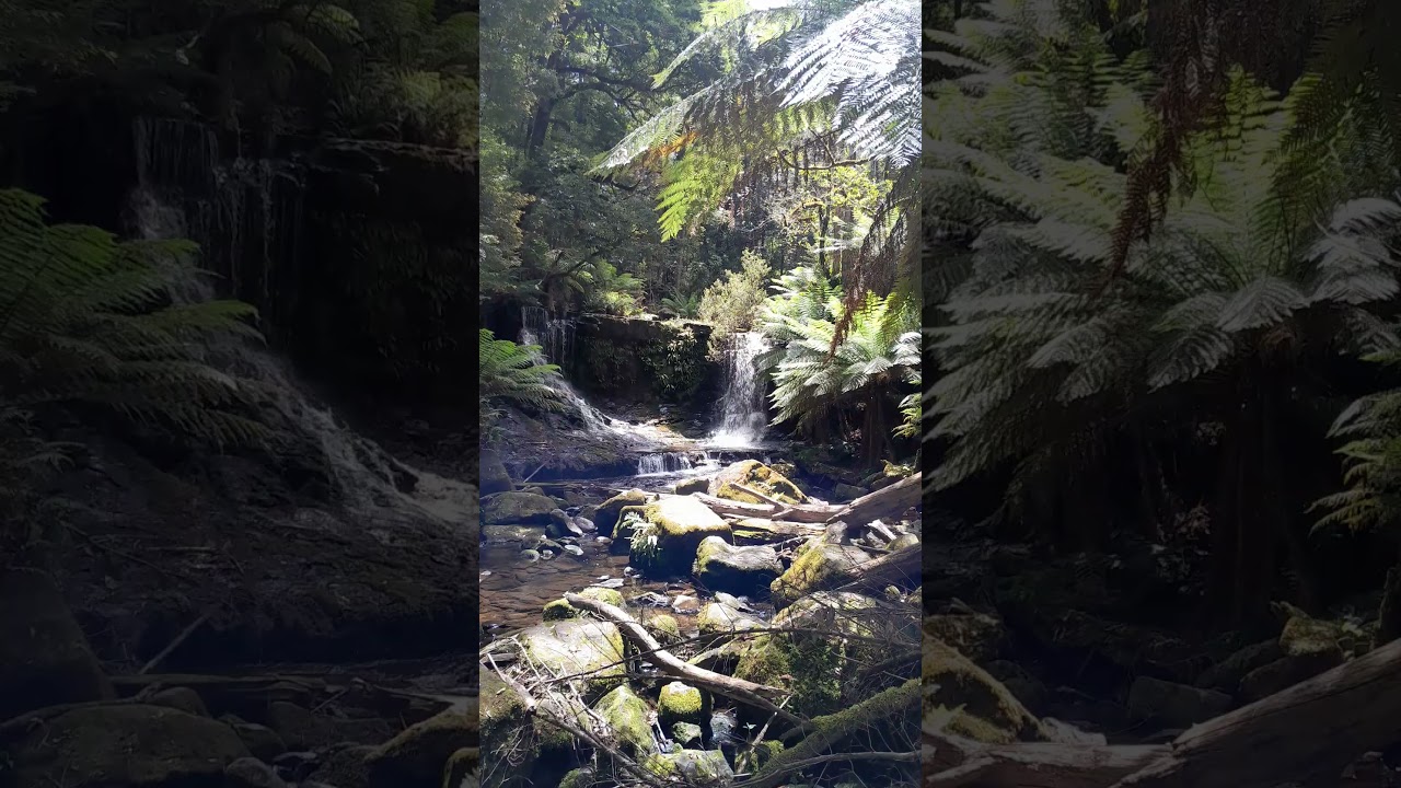 YouTube Short thumbnail