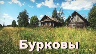 Рыболов календарь кировской области