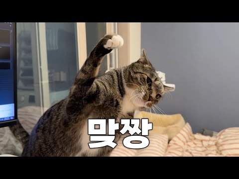 진짜로 맞짱 떴습니다...