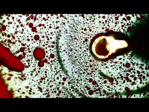 Cold Fronts - Hit Me Acid Test [Official Lyric Video]