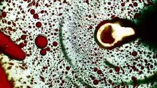 Cold Fronts - "Hit Me" Acid Test [Official Lyric Video]