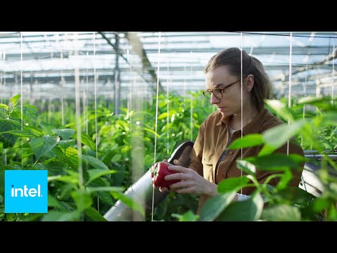 Grow Smarter Not Harder with AI | Intel