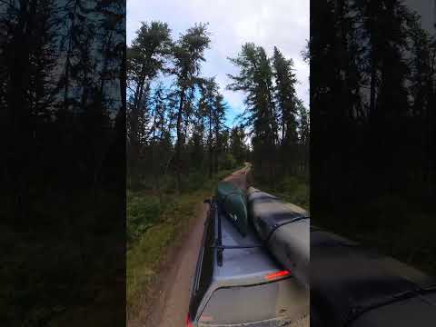 Drive down to Second Mustus Lake in Meadow Lake Provincial Park