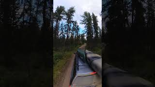 Drive down to Second Mustus Lake in Meadow Lake Provincial Park