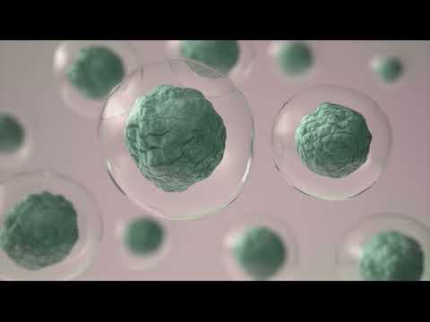 Cells healing - Complete health body and life