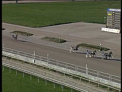 Trotto 11/11/2018 - 1ª prova di qualifica