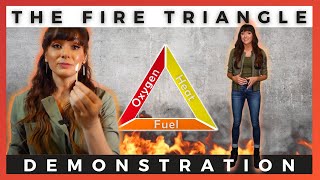 THE FIRE TRIANGLE | Ally Safety