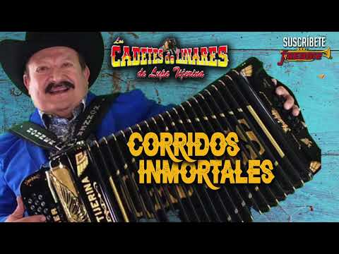 Los Cadetes De Linares De Lupe Tijerina - Corridos Inmortales